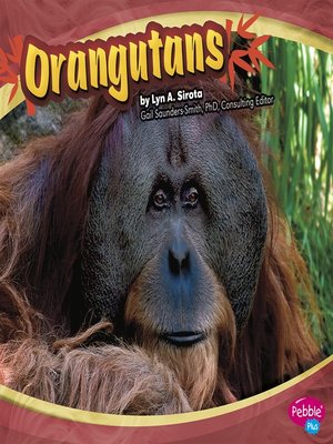 cover image of Orangutans